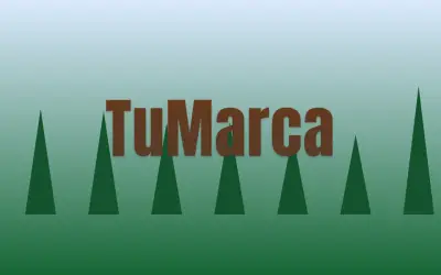 Salsa. Estilo original de salsa. Letra propia, sin logotipo, sin escudo y sin marca ajena.