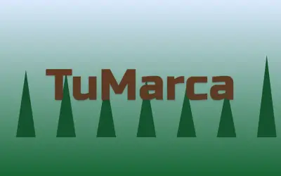 Numeración. Estilo original de numeración. Letra propia, sin logotipo, sin escudo y sin marca ajena.