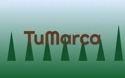 Módulo. Estilo original de módulo. Letra propia, sin logotipo, sin escudo y sin marca ajena.